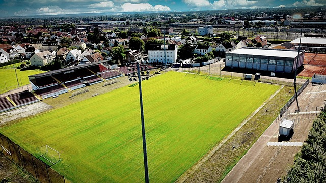 更具魅惑力 更具魅惑力