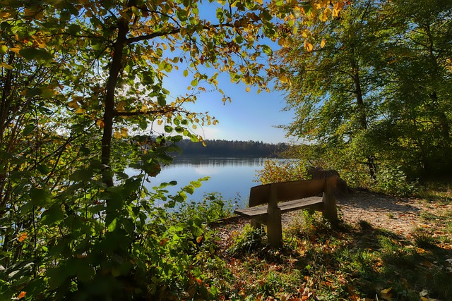 其与各方都 其与各方都