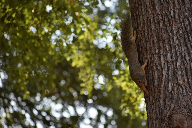 相契合的品 相契合的品