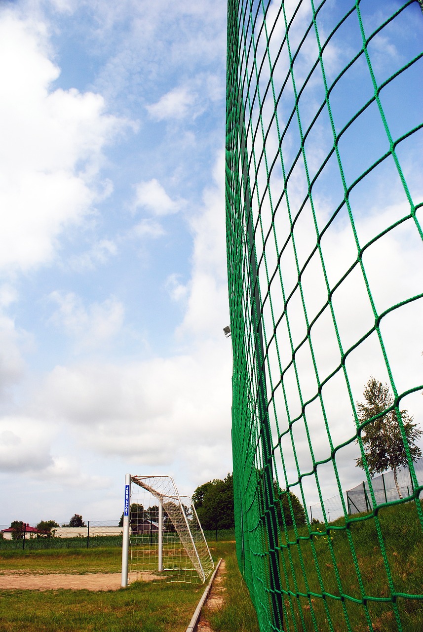 球迷們對於 球迷們對於