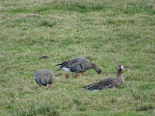 得更多比赛 得更多比赛
