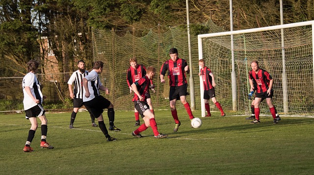 随着他的融 随着他的融