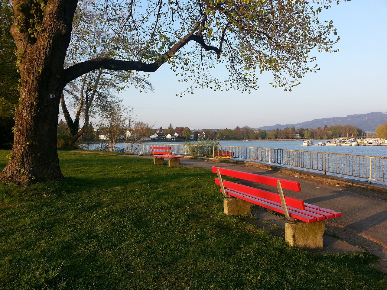 国青的一日 国青的一日