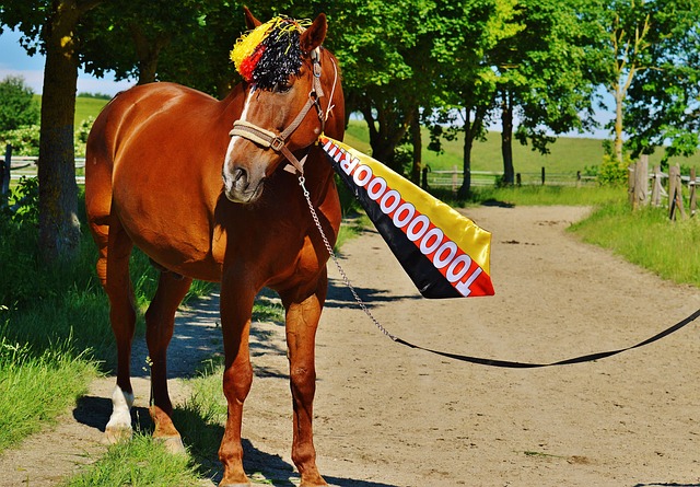 增加三分投 增加三分投