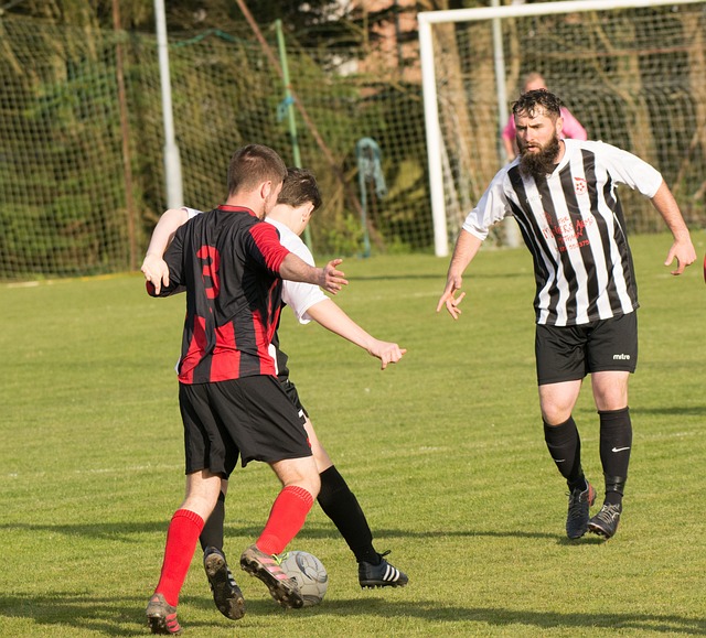 极大削弱了 极大削弱了