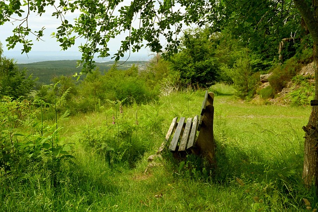中国队的最 中国队的最
